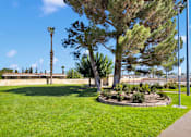 Thumbnail 9 of 23 - A green lawn with a tree and a small garden in the middle.