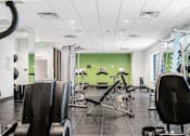 Thumbnail 43 of 45 - A gym with a variety of equipment including treadmills, weights, and exercise machines.