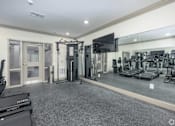 Thumbnail 7 of 20 - A spacious gym with a variety of equipment including treadmills, weights, and a television.