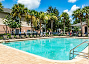Thumbnail 23 of 26 - A swimming pool surrounded by palm trees and a building in the background.