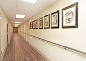 Thumbnail 31 of 32 - A hallway with a row of pictures on the wall at Arbours at Tumblin Creek ~ Active 55+ Adult Community, Gainesville 32608