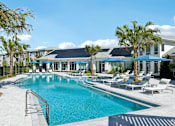 Thumbnail 5 of 41 - A swimming pool surrounded by palm trees and lounge chairs.