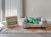 Thumbnail 22 of 35 - Pet friendly at Reflection Pointe, Flowood, Mississippi