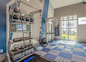 Thumbnail 10 of 42 - The Rosemary Fitness