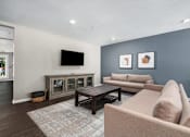 Thumbnail 12 of 40 - a living room with couches and a tv