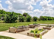 Thumbnail 48 of 56 - A garden with raised beds and plants in the foreground.