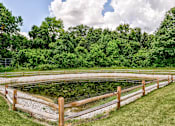 Thumbnail 50 of 56 - A pond surrounded by a wooden fence in a grassy area.