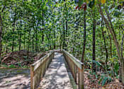 Thumbnail 40 of 51 - A wooden walkway leads through a forest.