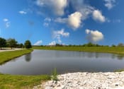 Thumbnail 26 of 26 - a small pond in the middle of a grassy field