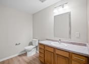 Thumbnail 17 of 19 - a bathroom with a sink toilet and a mirror