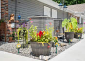 Thumbnail 69 of 72 - the side yard of a house with a yard filled with potted plants and flowers