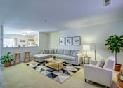 Thumbnail 50 of 51 - A living room with a grey sofa, a coffee table, and a rug.