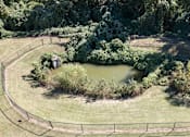 Thumbnail 17 of 52 - A small pond in the middle of a grassy area surrounded by a fence.