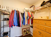 Thumbnail 12 of 27 - a walk in closet with a dresser and shelves