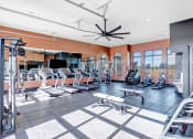 Thumbnail 21 of 25 - a gym with a lot of workout equipment and windows