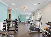 Thumbnail 17 of 22 - myrtle-beach-sc-fitness-center-strength-equipment.webp	Fitness center with dumbbell racks, barbells and a cable strength machine at Canterbury Apartments in Myrtle Beach, SC.