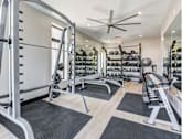 Thumbnail 17 of 19 - A gym with a variety of equipment including weights and benches.