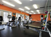Thumbnail 8 of 21 - Fitness Center and Gym