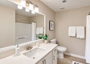 Thumbnail 6 of 18 - Bathroom with a white vanity, framed mirror, toilet, and tub with shower curtain at Icon Cartersville.