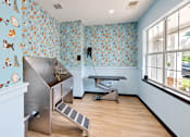 Thumbnail 14 of 18 - Pet grooming room with a stainless steel dog wash, grooming table, and dog-patterned walls at Icon Cartersville.