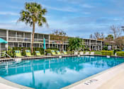 Thumbnail 8 of 16 - A swimming pool surrounded by chairs and a palm tree.