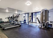 Thumbnail 4 of 19 - a gym with cardio machines and weights on the floor and a large window