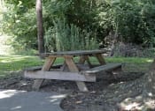 Thumbnail 18 of 20 - a picnic table next to a tree in a park