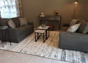 Thumbnail 9 of 20 - A living room with a grey couch, a coffee table, and a rug.