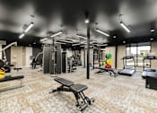 Thumbnail 6 of 61 - A gym with a variety of equipment including a squat rack, bench, and weights.