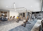Thumbnail 51 of 88 - A gym with a variety of equipment including weights and cardio machines.