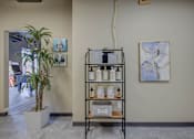 Thumbnail 14 of 30 - A room with a plant, a shelf with bottles and a painting on the wall.