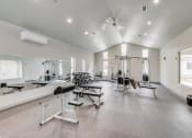 Thumbnail 33 of 54 - Fitness Room|  at 5th Ward | Three Sixty