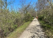 Thumbnail 20 of 28 - Steps from the Great River Trailhead