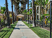 Thumbnail 20 of 30 - A tree-lined street with a sidewalk and houses on both sides.