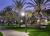 Thumbnail 15 of 30 - A park with palm trees and a pathway is illuminated by streetlights.