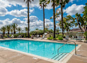 Thumbnail 2 of 30 - A large swimming pool surrounded by palm trees and lounge chairs.