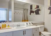 Thumbnail 11 of 25 - Pet-Friendly Apartments in Alpharetta, GA – The Ascent at Windward – bathroom with upgraded materials including granite countertops