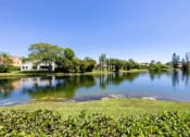 Thumbnail 25 of 33 - Coconut Creek Apartments – Waterview at Coconut Creek – view of lake with trees and other plants around it