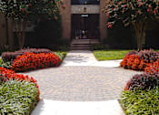 Thumbnail 16 of 17 - Park Pleasant apartments