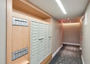 Thumbnail 14 of 15 - A hallway with a row of lockers on the left and a bench under the first locker.