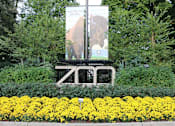 Thumbnail 26 of 36 - The National Zoo in Woodley Park at Calvert House Apartments, Washington, DC