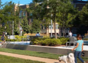 Thumbnail 49 of 63 - Bark park and Walking Trails at Harrison at Reston Town Center, Reston, VA, 20190