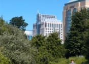 Thumbnail 54 of 63 - Wood Trails at Harrison at Reston Town Center, Reston, VA, 20190
