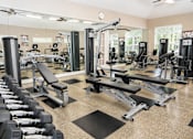 Thumbnail 7 of 18 - A gym with a variety of equipment including dumbbells, weight machines, and benches.