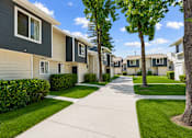 Thumbnail 5 of 5 - A row of houses with a sidewalk in front.
