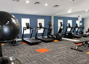 Thumbnail 7 of 17 - A gym with a variety of equipment including weights, a bench, and a ball.
