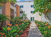 Thumbnail 3 of 16 - A pathway leads to a building with a green tree on the right.