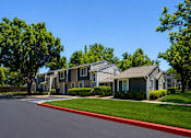 Thumbnail 4 of 16 - A row of houses with green trees in front.