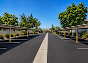 Thumbnail 12 of 12 - A long parking lot with a clear blue sky above.
