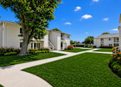 Thumbnail 10 of 12 - A tree in a grassy area in front of apartment buildings.